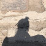 Ece Yaşar Instagram – Geçip giden buu zamanları huu
Bir yerlerde bulsam?

Ben:🤳
