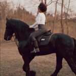 Ecem Erkek Instagram - ❤️#friesian#horse#nature#mayadelorez
