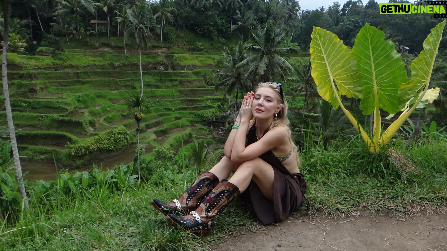 Ege Kökenli Instagram - Sometimes a rice field can be a corner of heaven 🌾 #reklam