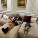 Egor Bulatkin Instagram - Собаки, те кто точно любят тебя по настоящему. Верные и понимающие. И порой они во многом лучше многих людей 🐶