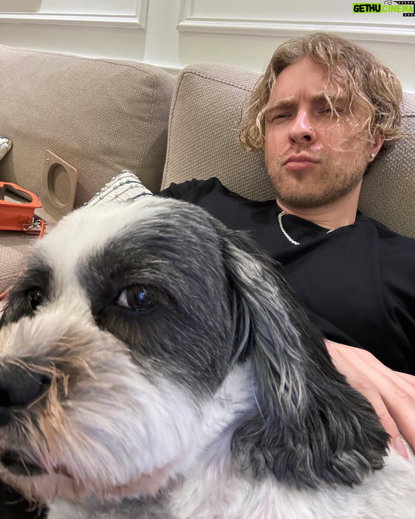 Egor Bulatkin Instagram - Собаки, те кто точно любят тебя по настоящему. Верные и понимающие. И порой они во многом лучше многих людей 🐶