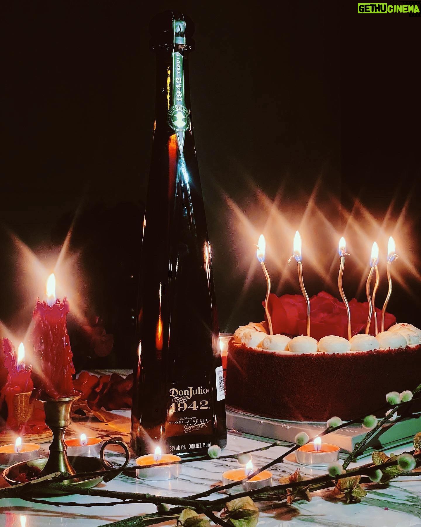 Ela Velden Instagram - #Ad Festeje mi cumpleaños con @tequiladonjulio acompañada de la gente que más quiero🤍 #poramor