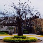 Ela Velden Instagram - Eres el primer rayito del sol que ilumina mi ventana Ese rayito que calienta toda la habitación con delicada fuerza Eres el viento que arrasa con todas las hojas secas Ese viento que las eleva hacia las alturas en los cielos Eres la mariposa que vuela en frente de mis ojos para enseñarme el camino correcto Esa mariposa que me susurra a mi oido que todo estará bien. Te extraño y te amo por siempre papi 🤍