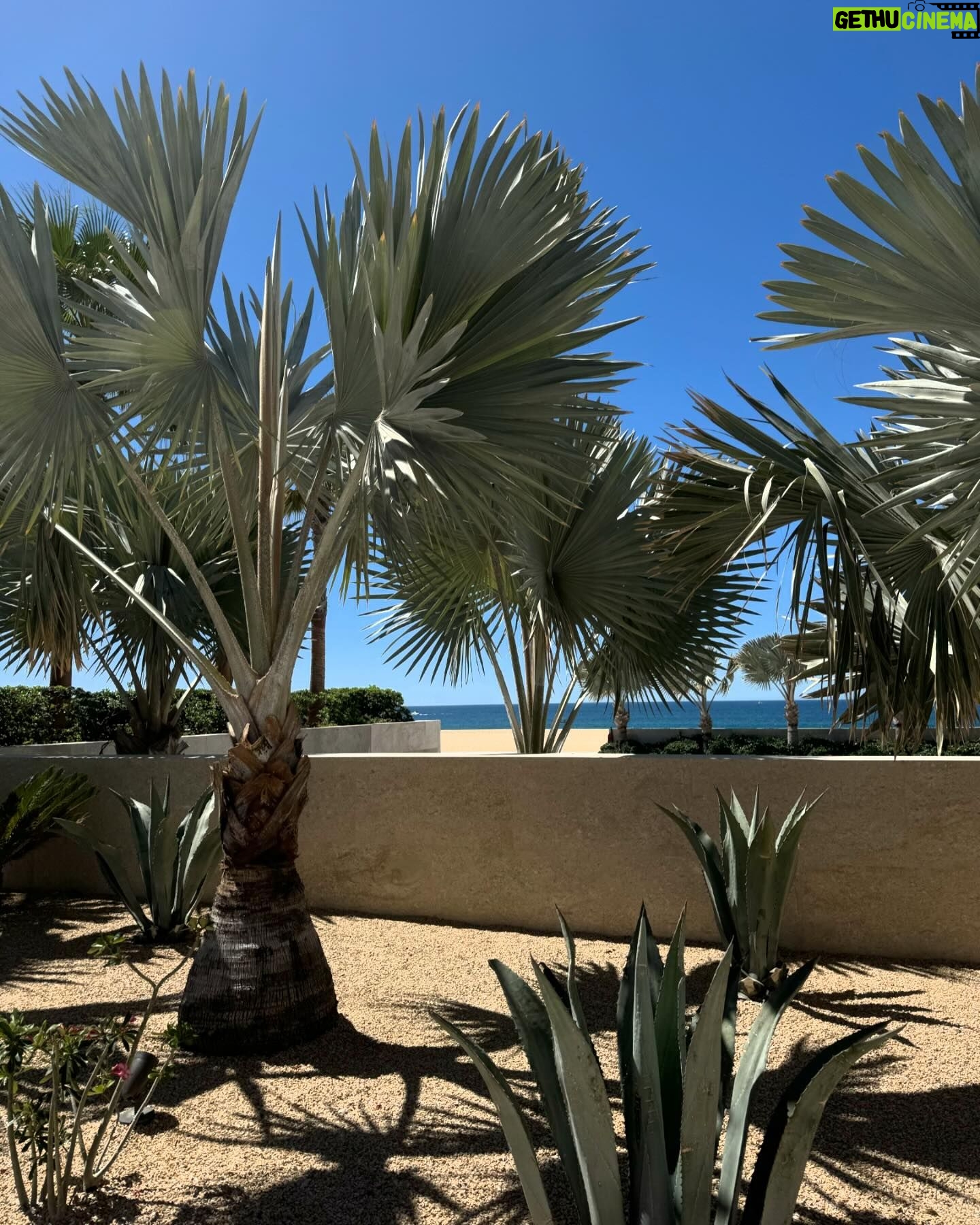 Ela Velden Instagram - Living the good life in @nobuloscabos @vivantbyrcd