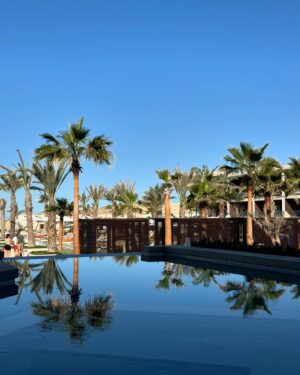 Ela Velden Instagram - Living the good life in @nobuloscabos  @vivantbyrcd