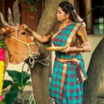 Elakkiya Instagram - அனைவருக்கும் இனிய மாட்டு பொங்கல் வாழ்த்துக்கள். Pc @photamora__pictures Mua&hair @chennai_makeover_usha_balaji #elakkiya#pongalcelebration