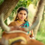 Elakkiya Instagram - அனைவருக்கும் இனிய மாட்டு பொங்கல் வாழ்த்துக்கள். Pc @photamora__pictures Mua&hair @chennai_makeover_usha_balaji #elakkiya#pongalcelebration