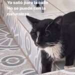 Elba Escobar Instagram – El de callejero , como debe ser, lo@estoy esperando para darle sus gotas