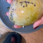 Elba Escobar Instagram - Ya cosechando mangos!!! Espero que queden algunos para cuando vuelva. Voy a extrañar mi campo y mi cosecha. Pero también voy a disfrutar el reencuentro con mis compañeros de años de la TV en Venezuela. Pa” llá voy!