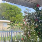 Elba Escobar Instagram - La mañana en el campo. #isabelapr #isladelencanto