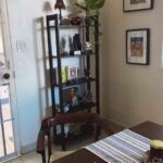 Elba Escobar Instagram – Muchas de estas plantitas son hijas o retoños de la otra. Son la familia-naturaleza , las amo y alegran mi corazón y mi casita