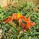Elba Escobar Instagram - Tan linda y eterna mi amada @mteresachacin , y nuestro Simón Diaz y nuestros campos en cada rincón del mundo! Bendiciones de Luz . Gracias Dios