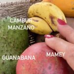 Elba Escobar Instagram - Fruta Fresca como un beso de Amor