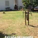 Elba Escobar Instagram – Tengo la vida hecha Teatro, pronto comenzamos los ensayos generales de “Las Aventuras de Juan Planchard” en @thecolonytheatre en Miami y todo lo ocupa esta sensación tan familiar de la cercanía del estreno , las expectativas, el rigor, la perfección que anhelamos, la organicidad que prevalece y la confianza en un equipo multidisciplinario que nos apoya, nos cuida, nos precisa y hace el camino mas amable, @miaminewdrama @tectonictheaterproject Gracias  Y desde todo lo que sufro y disfruto… extrañar mi campito es parte de la fórmula de mi vida.