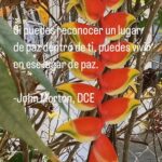 Elba Escobar Instagram – @msiaorg  @jm_traveler