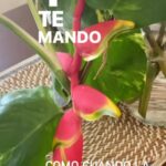 Elba Escobar Instagram -