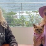 Elena Lenina Instagram - Побеседовали в итальянском ресторане неподалеку от Монако с владелицей закрытого клуба из Мюнхена @mariia_novva Запланировали, кроме всего прочего, делать совместные поездки приличным дамам) Ближайшая - в Монако по теме: "Мультимиллионер, где он обитает, и как с ним общаться". Если вопросы - пишите мне в Директ! По поводу вступления к Маше в клуб в Германии - пишите ей в Директ!