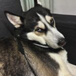 Elif Doğan Instagram - hb dump i