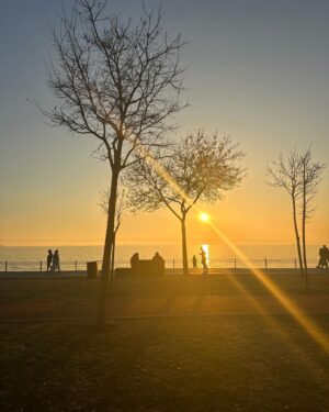 Elif Doğan Instagram - Late December ‘23 ☀️
