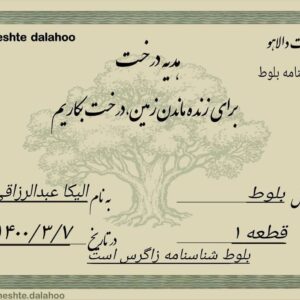 Elika Abdolrazzaghi Instagram - بنشانیم درخت . ممنونم از برزو ارجمند عزیز که ما رو با این عزیزان آشنا کرد#برزو_ارجمند #درخت #زاگرس #الیکا_عبدالرزاقی #