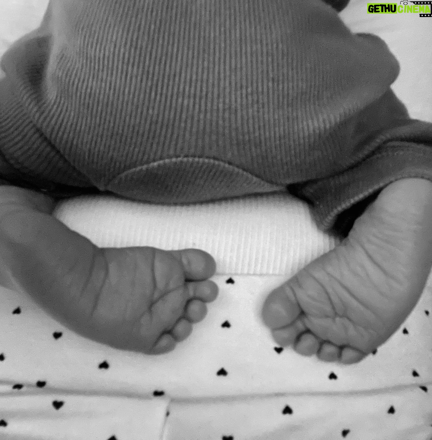 Eliza Dushku - 49.3K Likes - Welcoming our beautiful son, βBodanβ, this week has been a journey in & of itself πΈ
Gratitude & joy! These boys give life new horizons. Bourne & Bodie: #Boston brothers.
Thanks to all out there who support & love us~ Ah, this is where weβre supposed to be β¨
*@fadilberishaphotography , your photos are ALWAYS my most favorites- we love you, π¦π± Uncle Fadil (aka the greatest photographer in the π!)