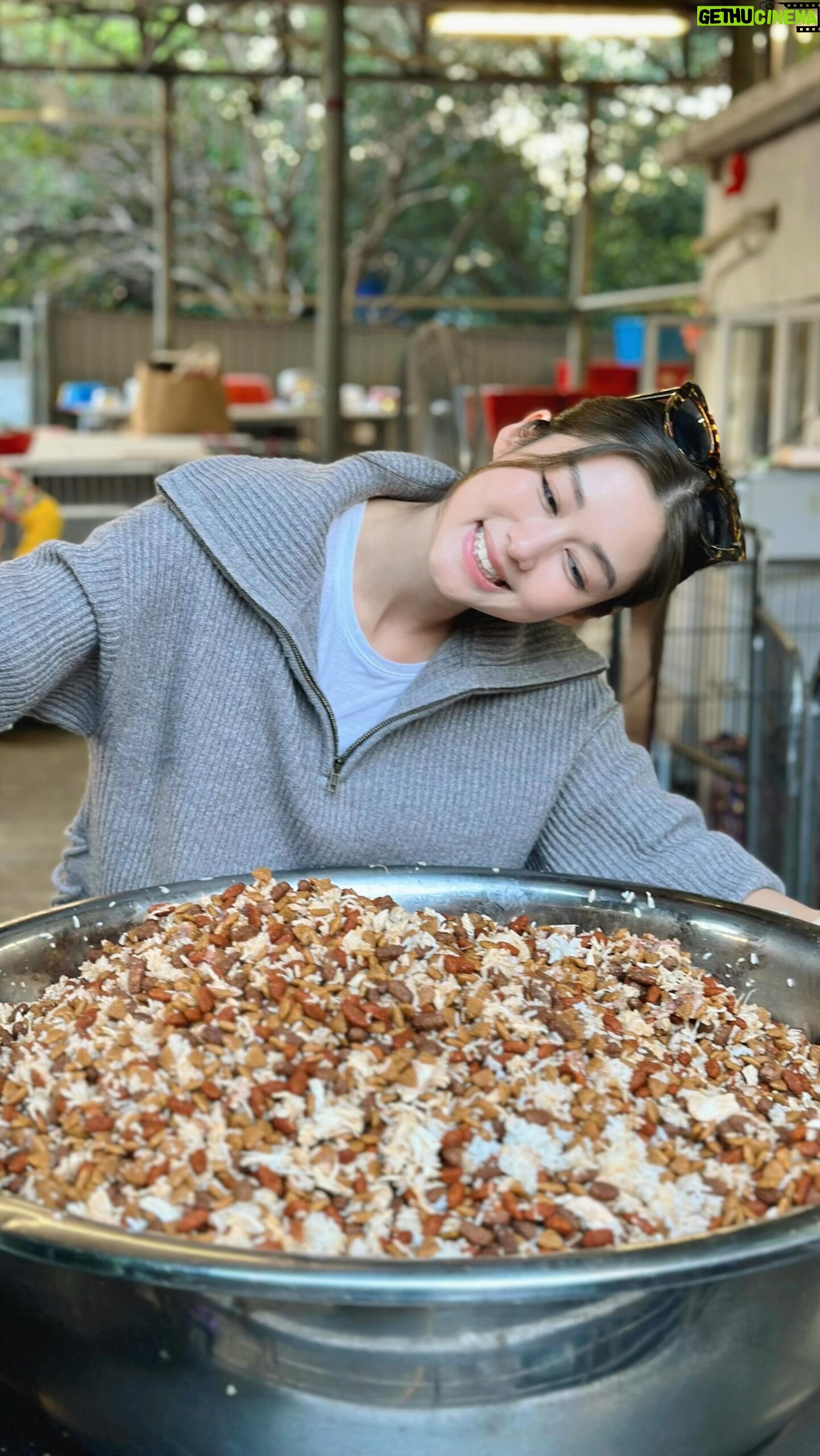 Eliza Sam Instagram - Part 2! Here’s how the doggie food turned out, and here’s how you feed many, many, many doggies at the same time! Like if you like doggies, hehe♥️🐶 Hope these doggies will always know that they are loved♥️ #大樹下 #大樹下善待動物庇護站 #BigTree #流浪動物 #善待生命 #支持領養