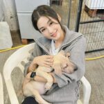 Eliza Sam Instagram - A moment of calm in this crazy season♥️🐶 Last pic- trying my best to protect their yummy food from flies that are also hungry! Recently I went to visit some fur babies at #BigTree shelter. Thank you doggies for filling my heart with love. It was like a therapy I didn’t know I needed♥️ Will upload the video of making their food tomorrow, stay tuned🤪✌🏻♥️🫶🏼 #大樹下 #大樹下善待動物庇護站 #BigTree #流浪動物 #善待生命 #支持領養