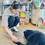 Eliza Sam Instagram – A moment of calm in this crazy season♥️🐶
Last pic- trying my best to protect their yummy food from flies that are also hungry!

Recently I went to visit some fur babies at #BigTree  shelter. Thank you doggies for filling my heart with love. It was like a therapy I didn’t know I needed♥️

Will upload the video of making their food tomorrow, stay tuned🤪✌🏻♥️🫶🏼

#大樹下 #大樹下善待動物庇護站 #BigTree #流浪動物 #善待生命 #支持領養