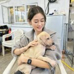Eliza Sam Instagram – A moment of calm in this crazy season♥️🐶
Last pic- trying my best to protect their yummy food from flies that are also hungry!

Recently I went to visit some fur babies at #BigTree  shelter. Thank you doggies for filling my heart with love. It was like a therapy I didn’t know I needed♥️

Will upload the video of making their food tomorrow, stay tuned🤪✌🏻♥️🫶🏼

#大樹下 #大樹下善待動物庇護站 #BigTree #流浪動物 #善待生命 #支持領養