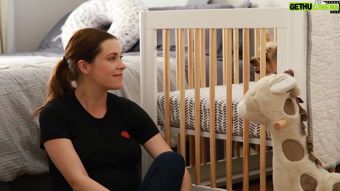 Eliza Taylor - 318.4K Likes - Nursery finally coming together! Thank you @babyletto 💗 it’s going to take some time for Bowie and Panda to realize this room is not theirs 😂