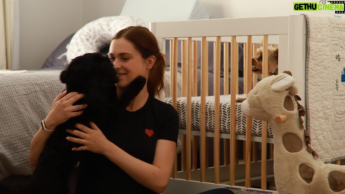Eliza Taylor - 318.4K Likes - Nursery finally coming together! Thank you @babyletto 💗 it’s going to take some time for Bowie and Panda to realize this room is not theirs 😂