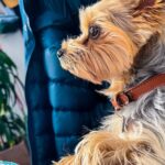 Eliza Taylor Instagram – He’s got a strong profile, this handsome boy! 🥰 @officialbowietaylor