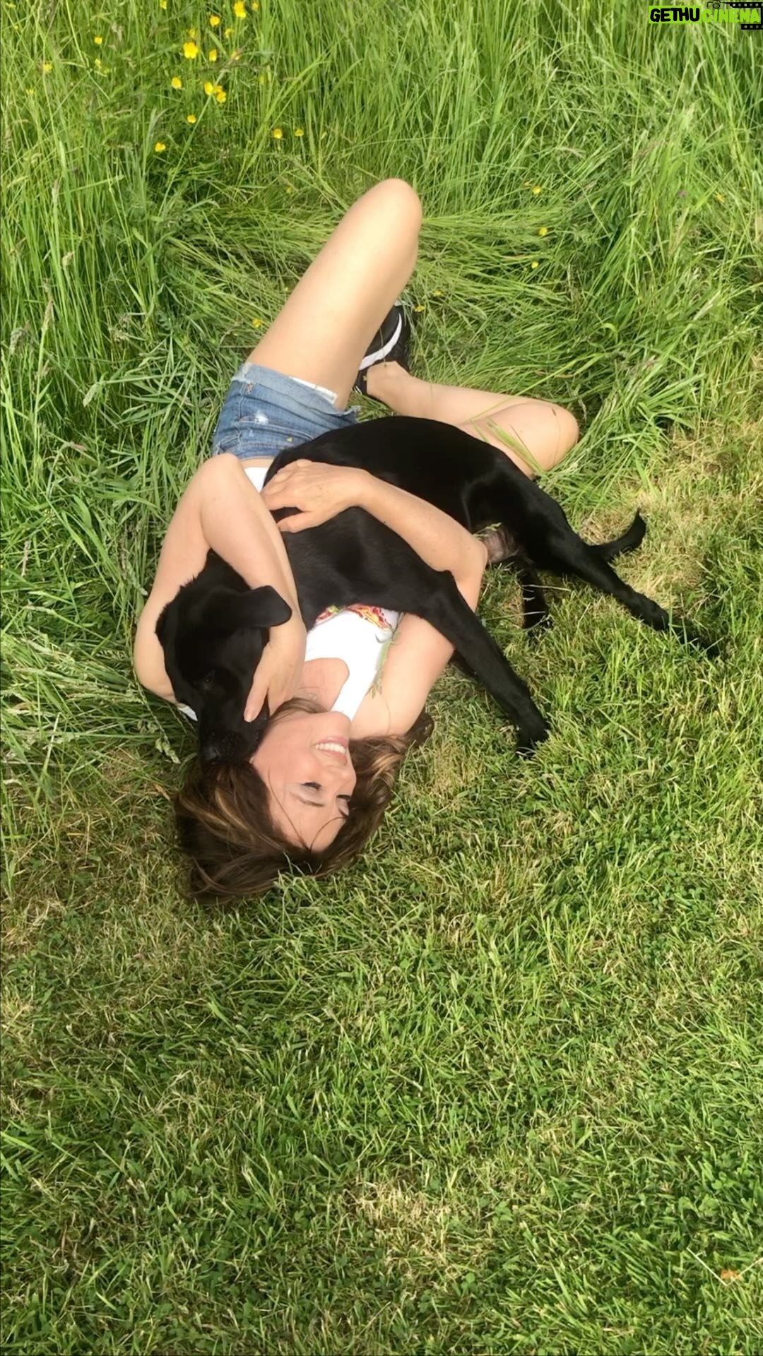 Elizabeth Hurley Instagram - More doggy love ❤️ #internationaldogday