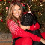 Elizabeth Hurley Instagram - Shivraj and Minnie are making the most of the last day of the Christmas decorations 😘🎄