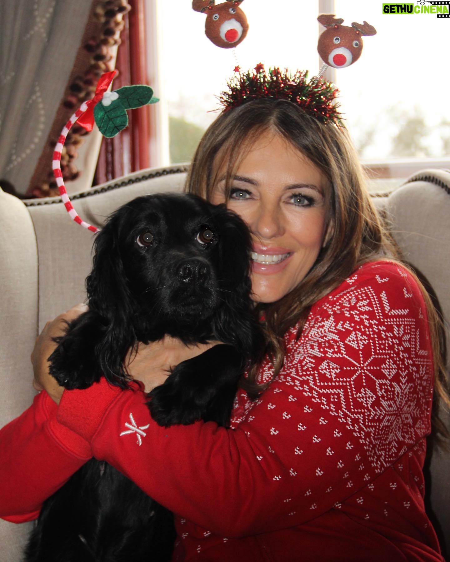 Elizabeth Hurley Instagram - Shivraj and Minnie are making the most of the last day of the Christmas decorations 😘🎄
