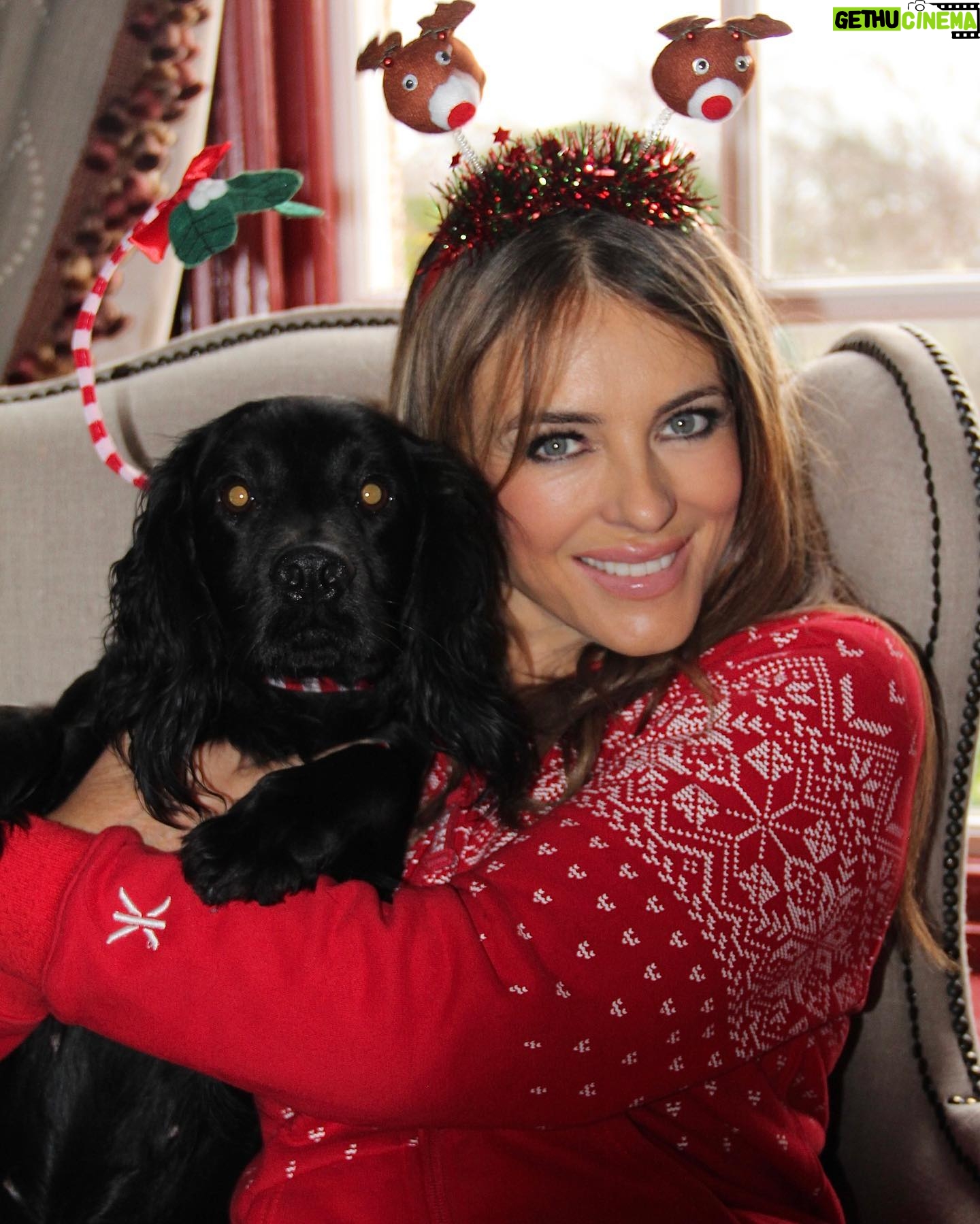 Elizabeth Hurley Instagram - Shivraj and Minnie are making the most of the last day of the Christmas decorations 😘🎄