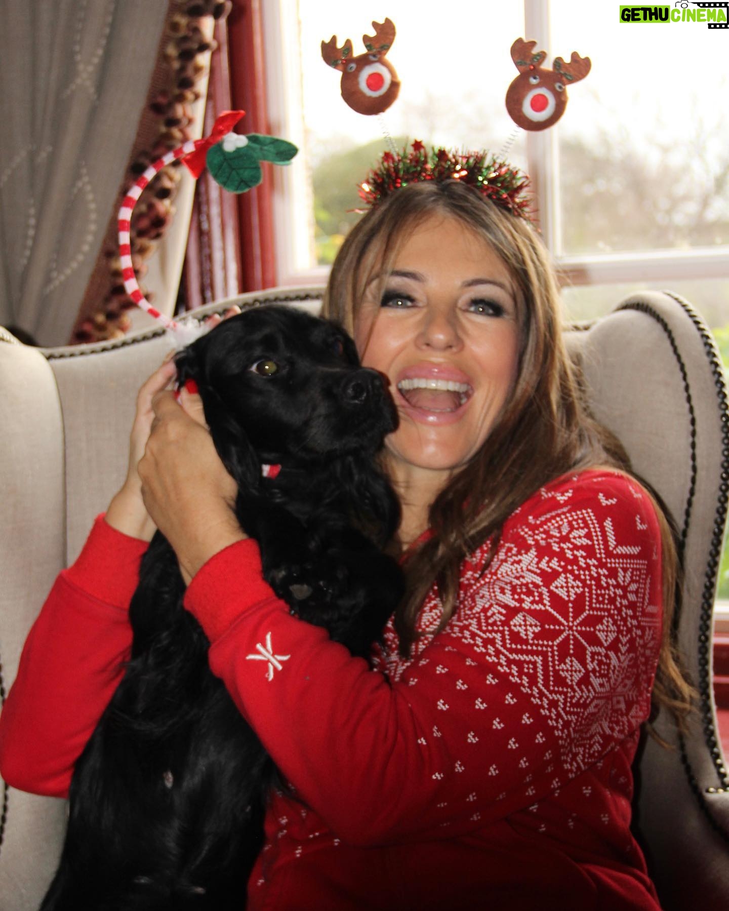 Elizabeth Hurley Instagram - Shivraj and Minnie are making the most of the last day of the Christmas decorations 😘🎄