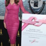 Elizabeth Hurley Instagram - More from the magical pink lighting of @empirestatebldg for @esteelaudercompanies Breast Cancer campaign. I’m joined by my old friend William Lauder 💗💗💗💗