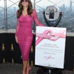 Elizabeth Hurley Instagram - It was wonderful to once again illuminate @empirestatebldg pink on behalf of @esteelaudercompanies Breast Cancer Campaign, a longstanding tradition started by Evelyn Lauder. As the Campaign’s Global Ambassador, I am honoured to help recognise everyone touched by breast cancer and support efforts to fund research, education and medical services 💗💗💗   #TimeToEndBreastCancer #ELCambassador