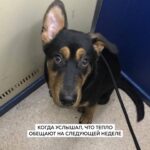 Elizaveta Ivantsiv Instagram - Могу вечно смотреть на небо, воду и его брови🤍