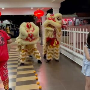 Ella Chen Jia Hua Instagram - 來跟大家拜年囉 🧨新年快樂🧨
#趕場的過年
#飛機高鐵摩托車通通用上
#長袖背心冬天夏天通通穿上
#肚子快爆炸
#旺啊發啊 
#解接的過年還在繼續