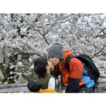 Ella Chen Jia Hua Instagram - 2023年就在忙碌中結束了 今年真的很充實 我們一家人看了櫻花 乘了風，品嚐各種有滋味 踏上不同舞台 又一起去賞楓 勁寶開始狂換牙 畢業典禮，升小一 然後現在在做新專輯😜 過程中很多事，很忙，很累，有壓力 但回過頭看還是覺得一切都很美好 做為人類很有趣❤️ 雖然說新的一年就要到了 但有些計畫已經排到四、五月去了🥶 所以內心還是提醒並鼓勵著自己 今年還是要繼續努力 把每一步該做的事都做好就對了 不需要去想結果如何 而是享受過程 然後該休息的時候就該好好休息 （所以自己在行事曆上已經排好休息時間🤣🤣） 相信2024也會是很好的一年🥰 祝福大家放下2023的缺憾 許下2024的願望 新年快樂 願望成真