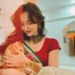 Elli AvrRam Instagram – Edward meri jaan❤️ Miau Miau🤭!

#catlady #catsofinstagram #edward #jaan #miau #yourstruly