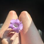 Ellie Goulding Instagram - 🥲🌺👋🏼