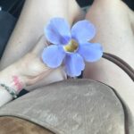 Ellie Goulding Instagram - Broccoli