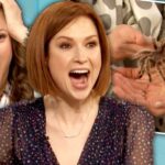 Ellie Kemper Instagram – Well they surprised me with a LIVE TARANTULA on @thedrewbarrymoreshow today! This kind of spontaneity and excitement just doesn’t happen on television anymore ☺️