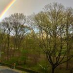 Ellie Kemper Instagram – Central Park you absolute beast!!! 🌈💯
