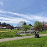 Ellie Kemper Instagram – My family (not pictured) and I (partially pictured) had a wonderful time at the New York Botanical Garden this weekend! 🌸 🌳 🌎