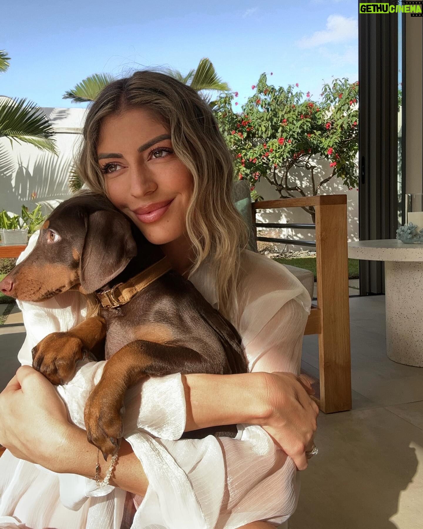 Elsa Dasc - 35.1K Likes - Ariel, bienvenue chez toi 🐚🤎
La gardienne de notre bonheur 🐾🏡