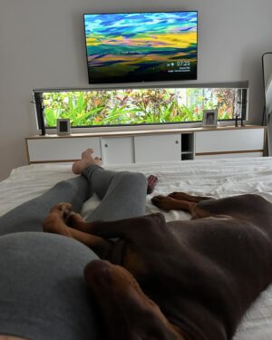 Elsa Dasc Instagram - Growing together 🤎
La dernière vidéo 🥹 regardez moi ce petit lapinou 🐰
Tant d’amour pour mon petit être à 4 pattes, tu auras bientôt ton meilleur compagnon de jeu à chérir et à protéger ♾️